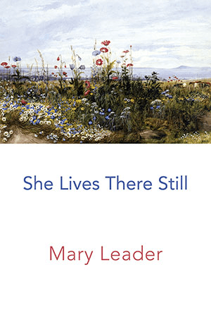 Mary Leader book cover