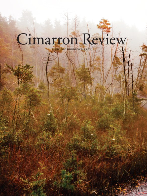 Issue 211 / Spring 2020